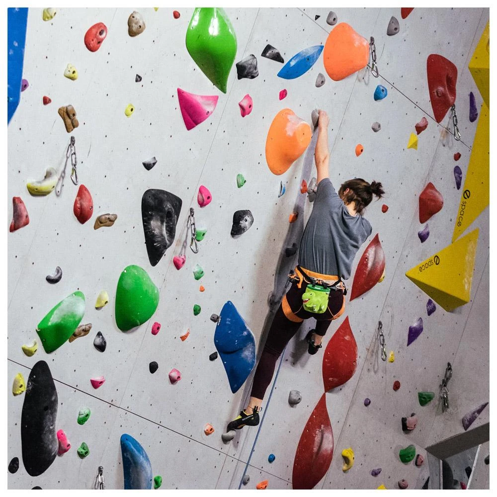 Chalkbag YY Vertical Animaux T-Rex 7 Chalkbag YY Vertical Animaux T-Rex – Bild 5