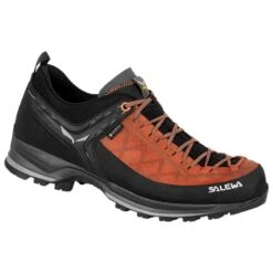 Approachschuhe Salewa MTN Trainer 2 GTX Autumnal Black