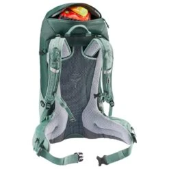 Rucksack Deuter Futura 24 SL Forest Jade 21 Rucksack Deuter Futura 24 SL Forest Jade -Neueste Camping Verkäufe 66286fc8f28681363c2ac760368afd5ce406a72c E23DEUTACC371135 DEUT0712302 902