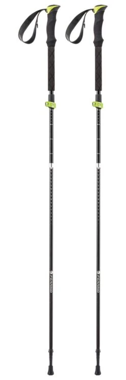 Stöcke Ferrino Stick Spantik Noir / Vert