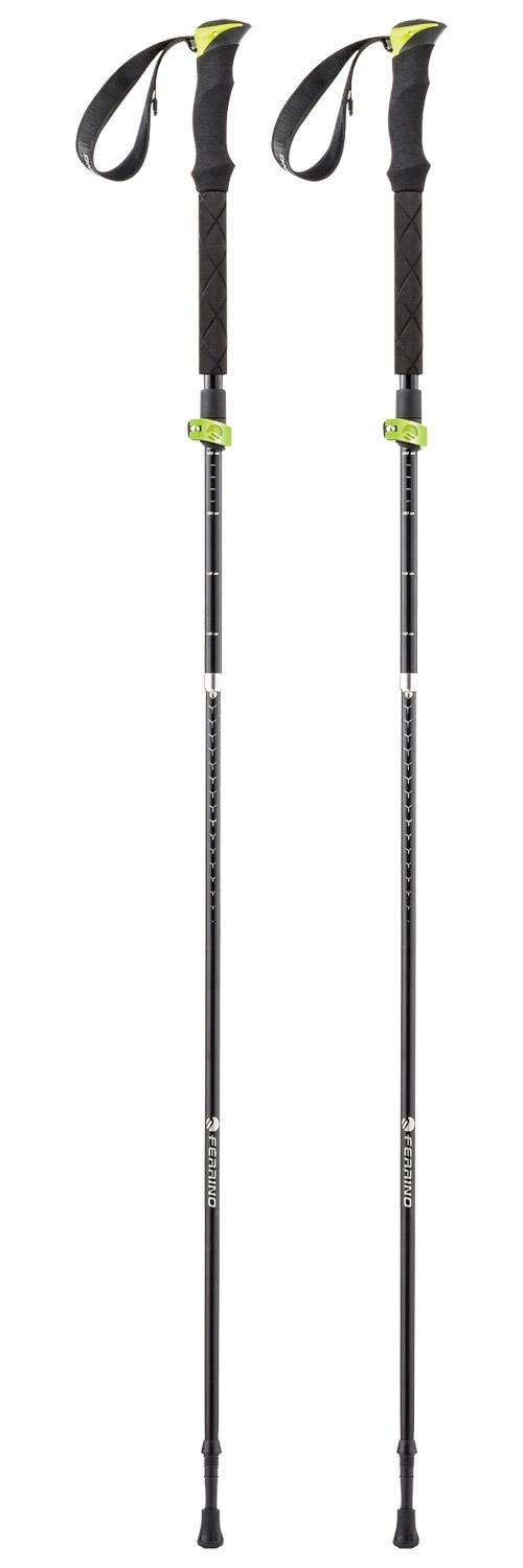 Stöcke Ferrino Stick Spantik Noir / Vert 3 Stöcke Ferrino Stick Spantik Noir / Vert