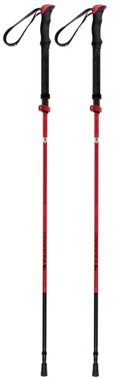 Stöcke Ferrino Stick Spantik Rouge