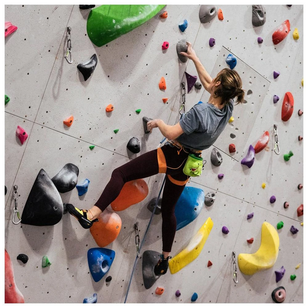 Chalkbag YY Vertical Animaux T-Rex 8 Chalkbag YY Vertical Animaux T-Rex – Bild 6