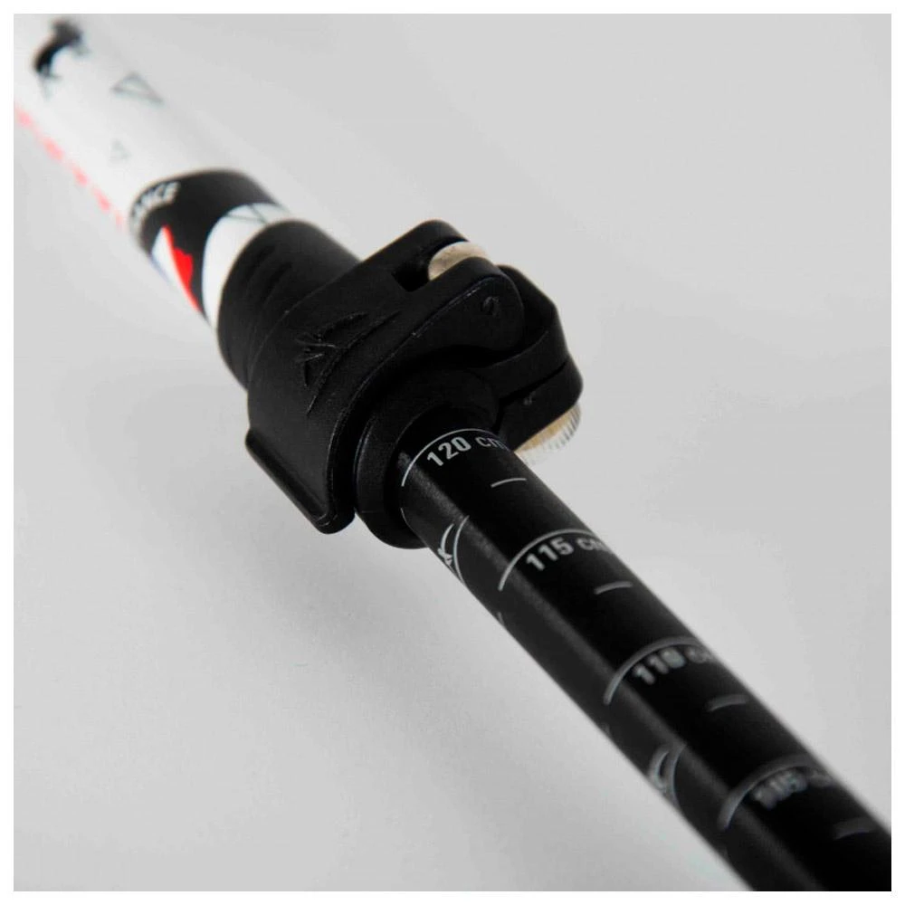 Stöcke Guidetti Région Massif De Corse Blanc Noir 9 Stöcke Guidetti Région Massif De Corse Blanc Noir – Bild 7